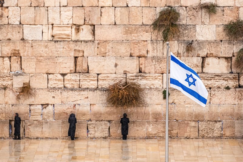 השירותים שלנו כוללים